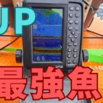 SUP魚群探知機