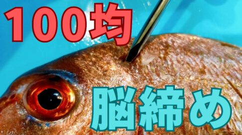 100均フィッシュピック