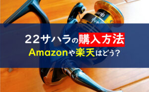 22サハラ