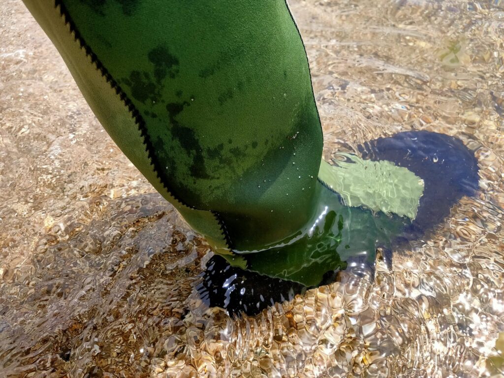 グリーンマスター　浸水